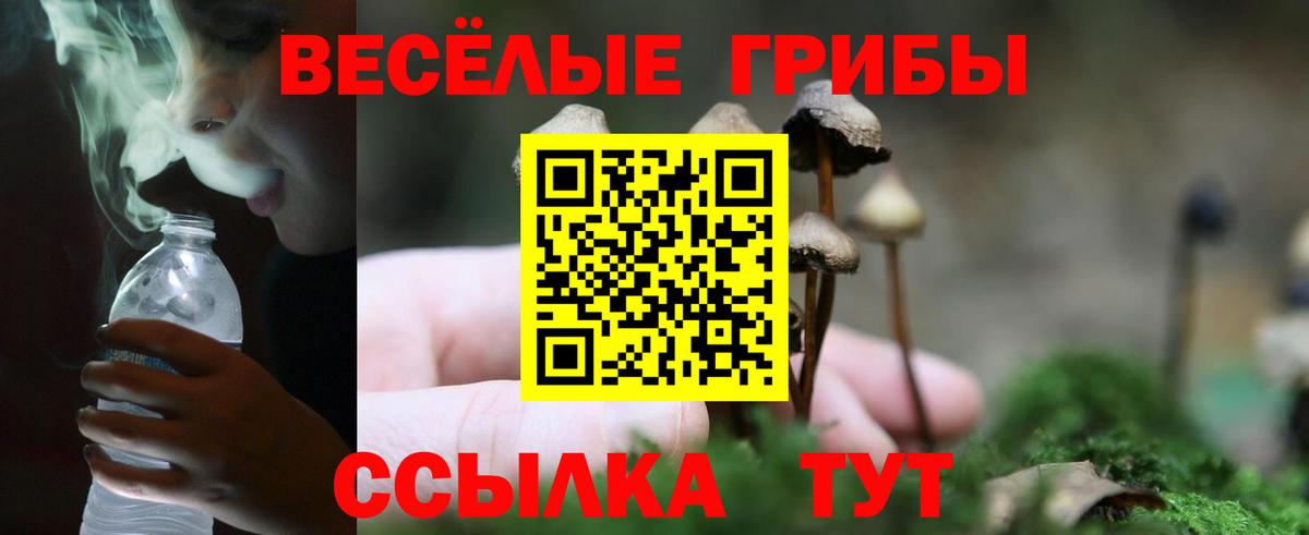 Галлюциногенные грибы Magic Shrooms Стрежевой